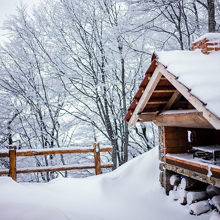 Holiday Home Floris Kopaonik Exterior photo